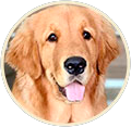 Simon